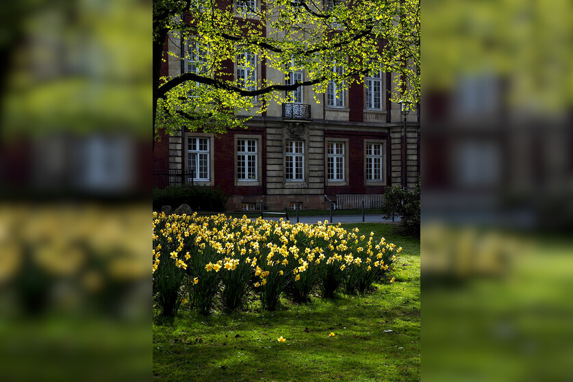 Fotokurs mit Fototour: Schloß & Botanischer Garten