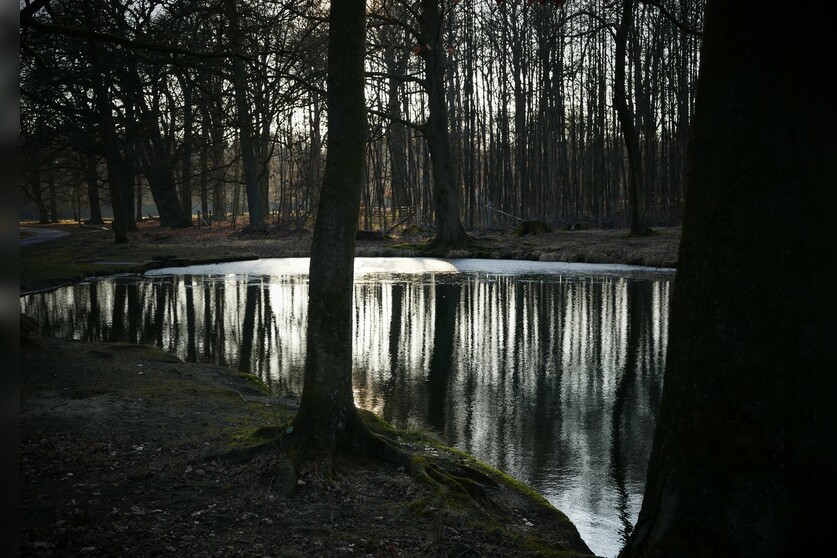 Fotokurs mit Fototour: Wildpark