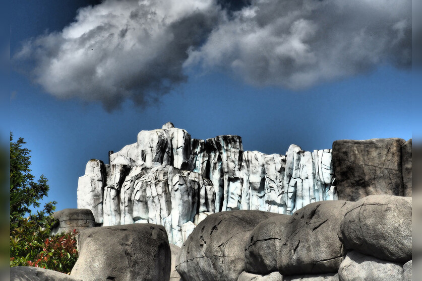 Fotokurs mit Fototour: Tierpark Hagenbeck