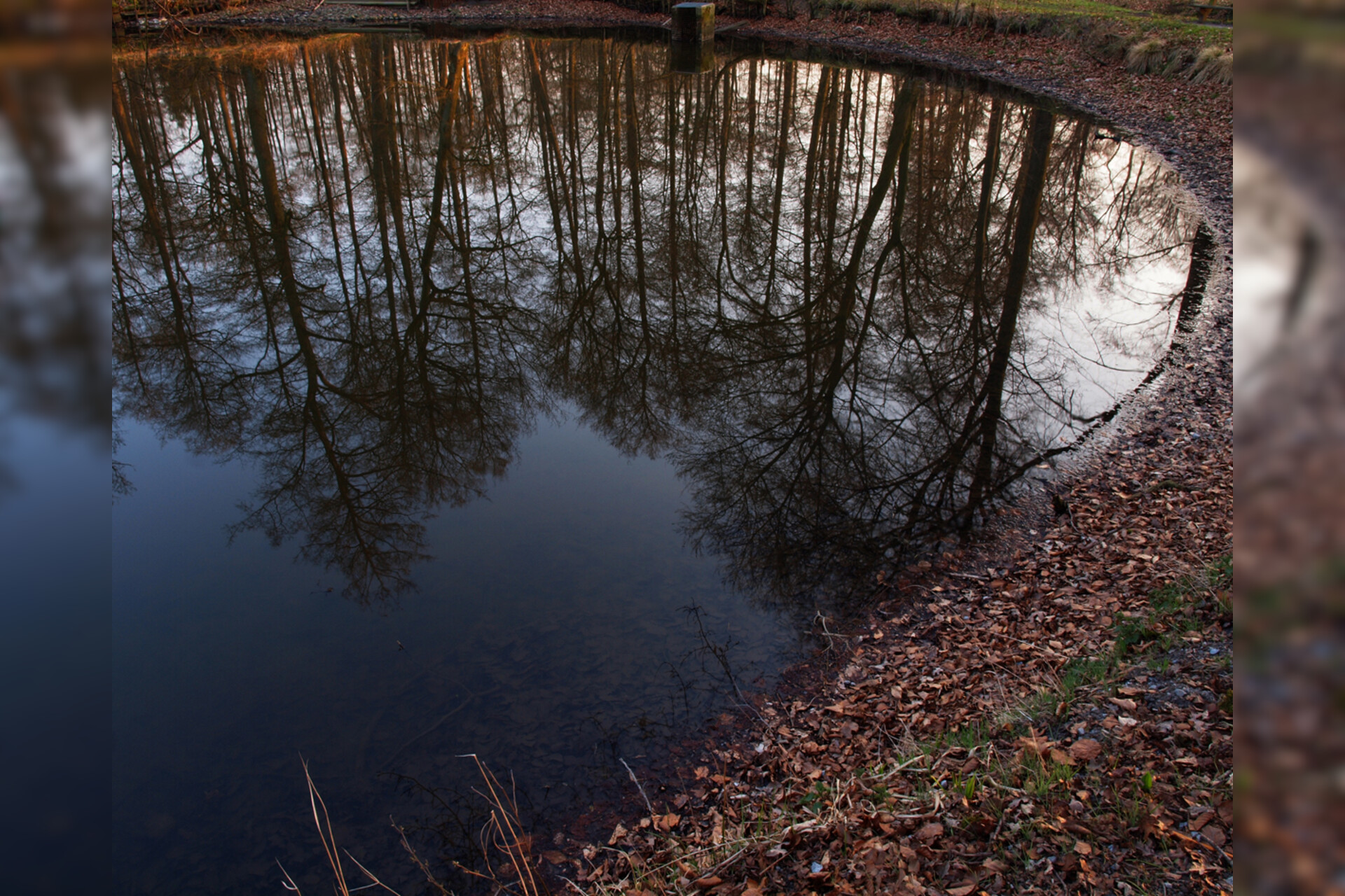 Fotokurs mit Fototour: Schloß & Tiergarten