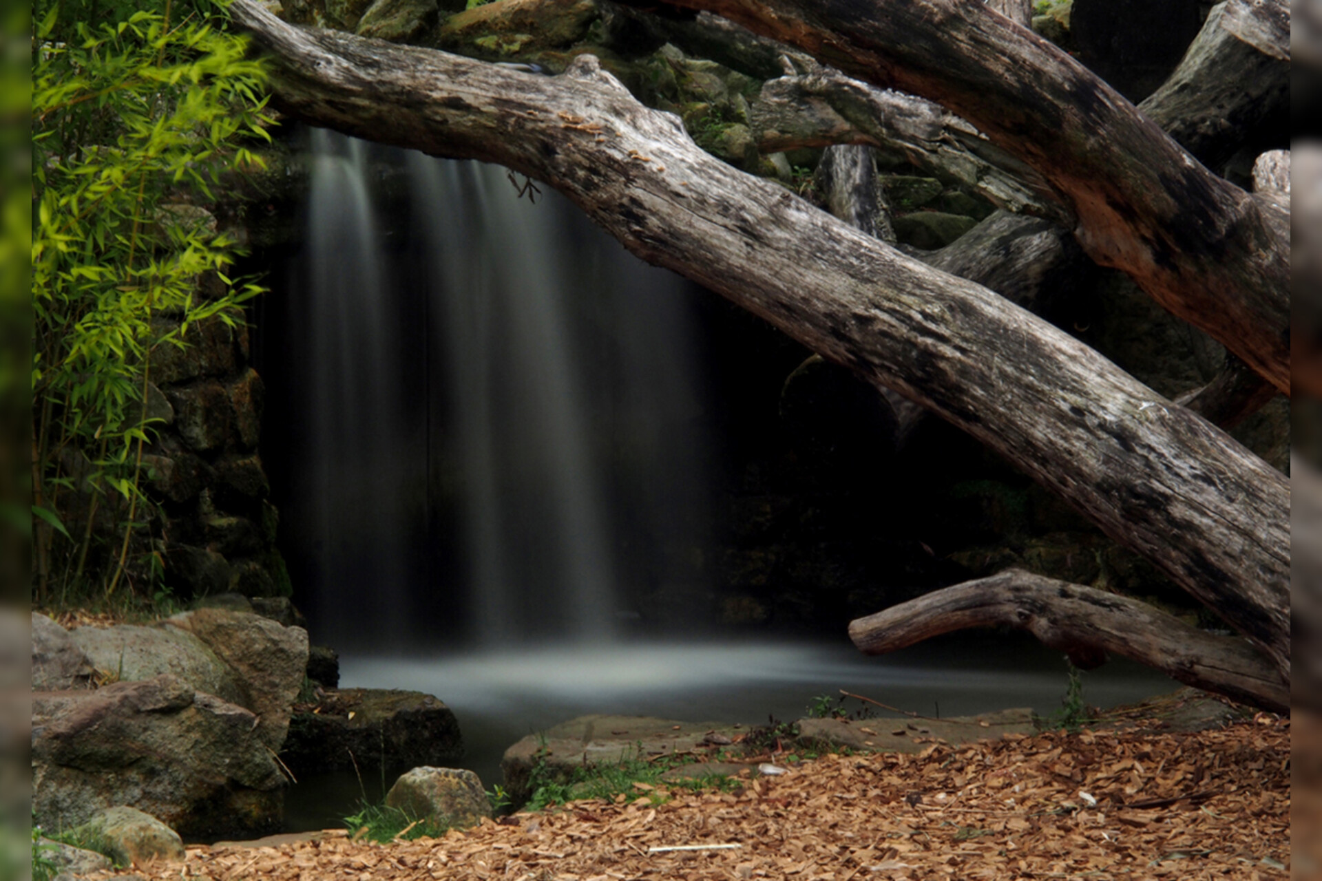 Fotokurs mit Fototour: Allwetter-Zoo