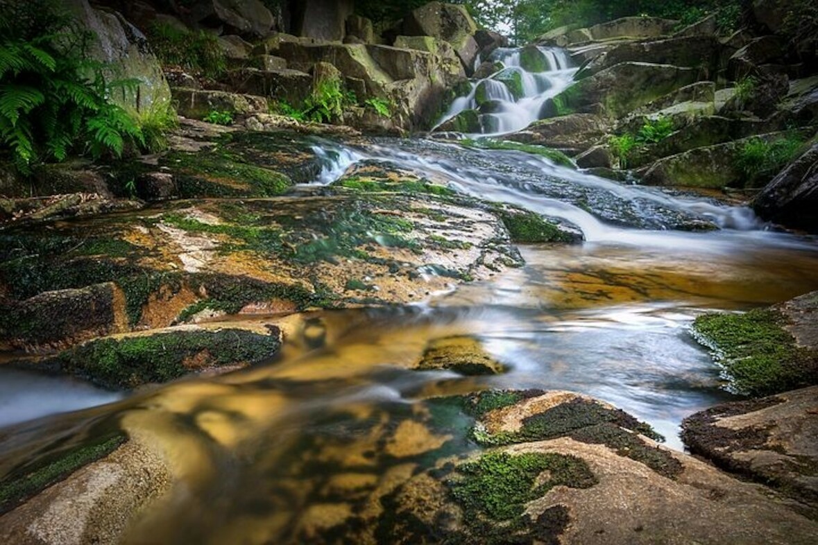 Fotokurs mit Fototour: Nationalpark Harz & Wasserfälle