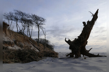 Fotokurs mit Fototour: Nationalpark Zingst