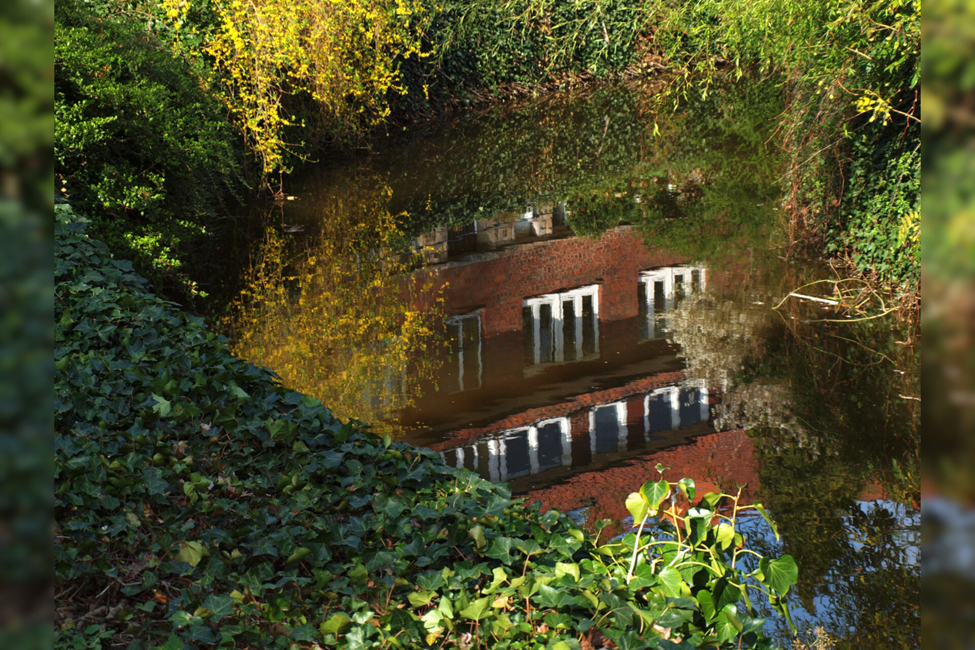 Fotokurs mit Fototour: Altstadt