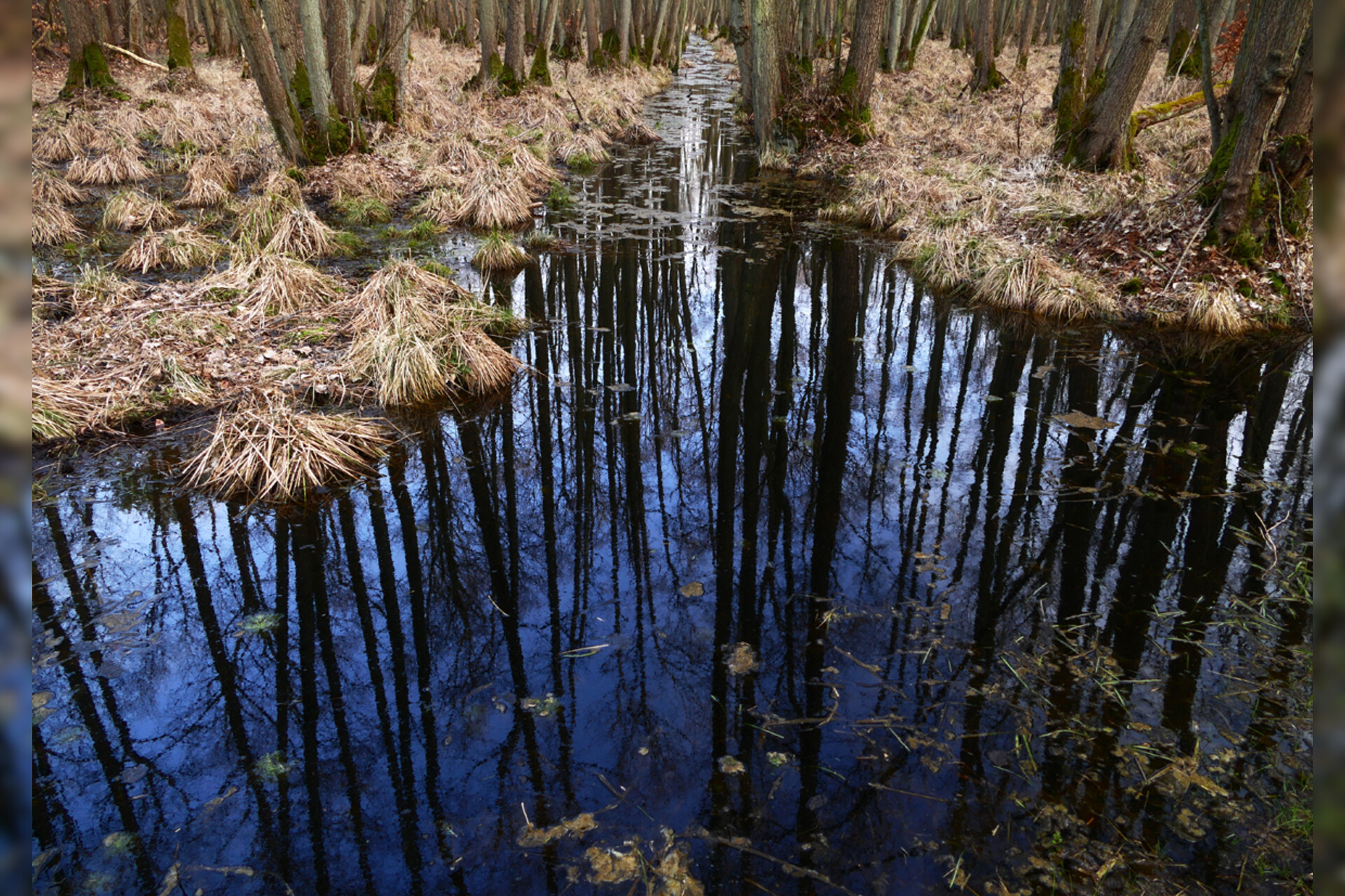 Fotokurs mit Fototour: Nationalpark Zingst