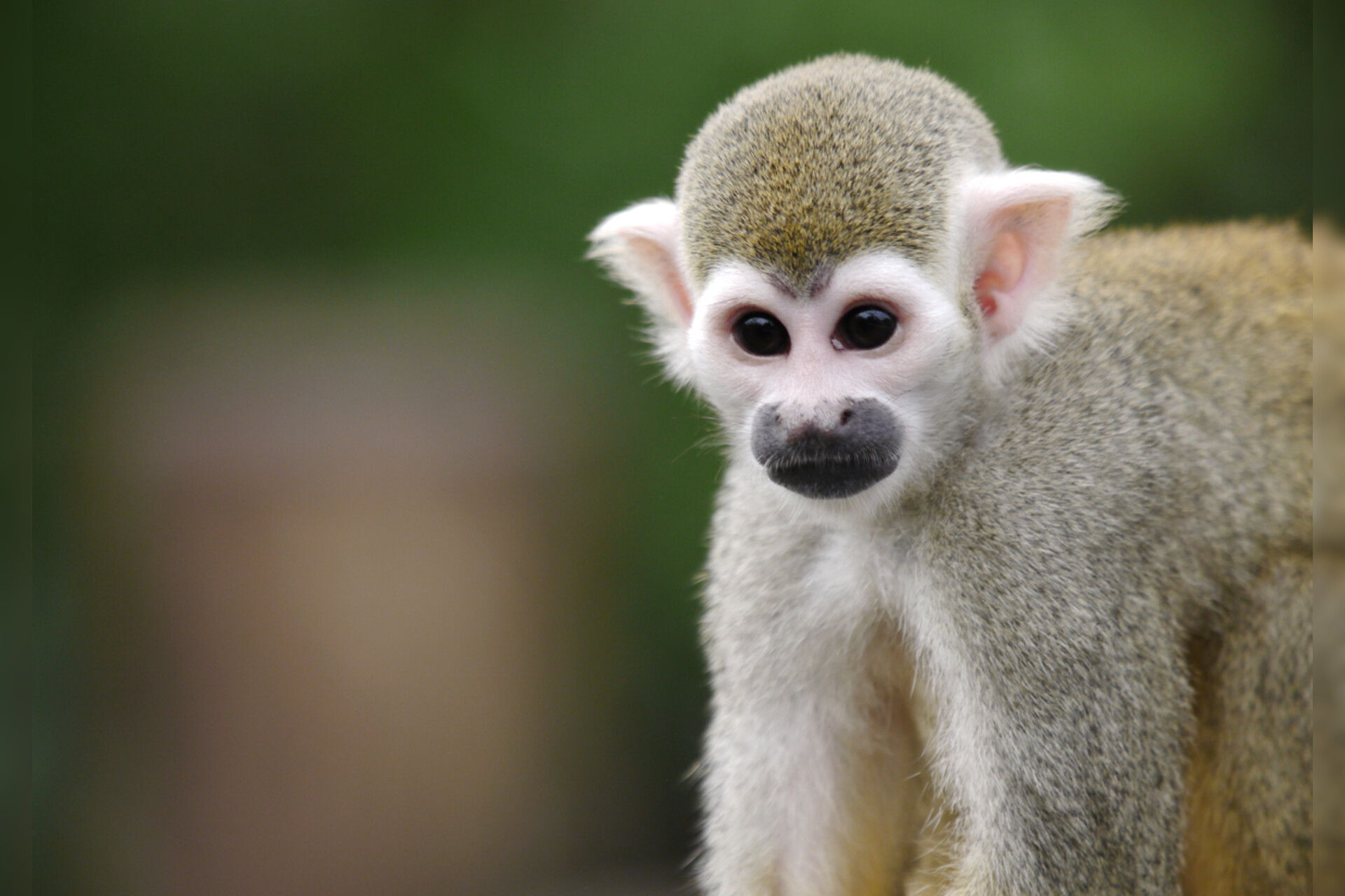 Fotokurs mit Fototour: Zoo