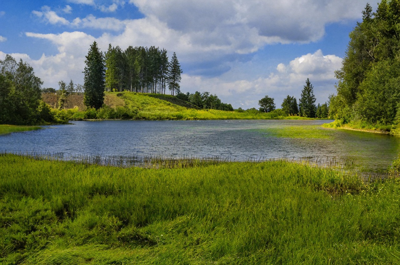 Harz in seiner natürlichen Schönheit. | ©Pixabay