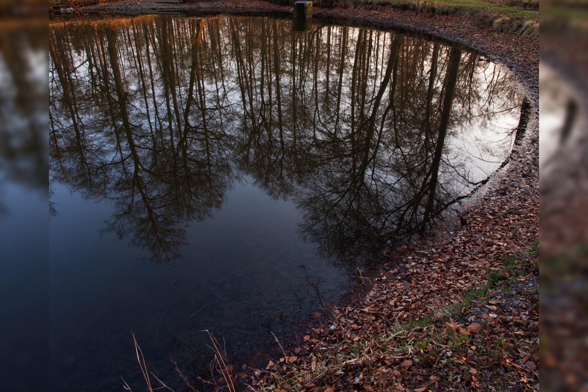 Fotokurs mit Fototour: Schloß & Tiergarten