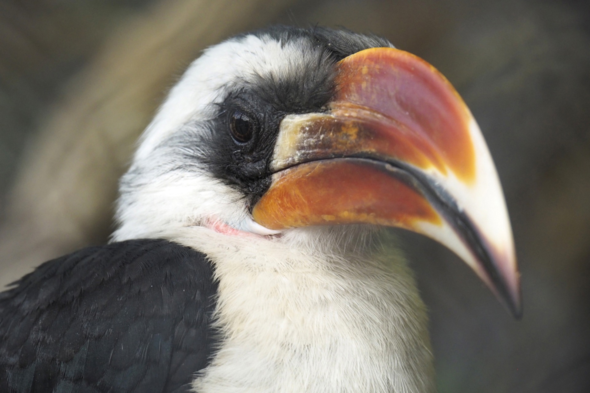 Fotokurs mit Fototour: Tierpark Hagenbeck