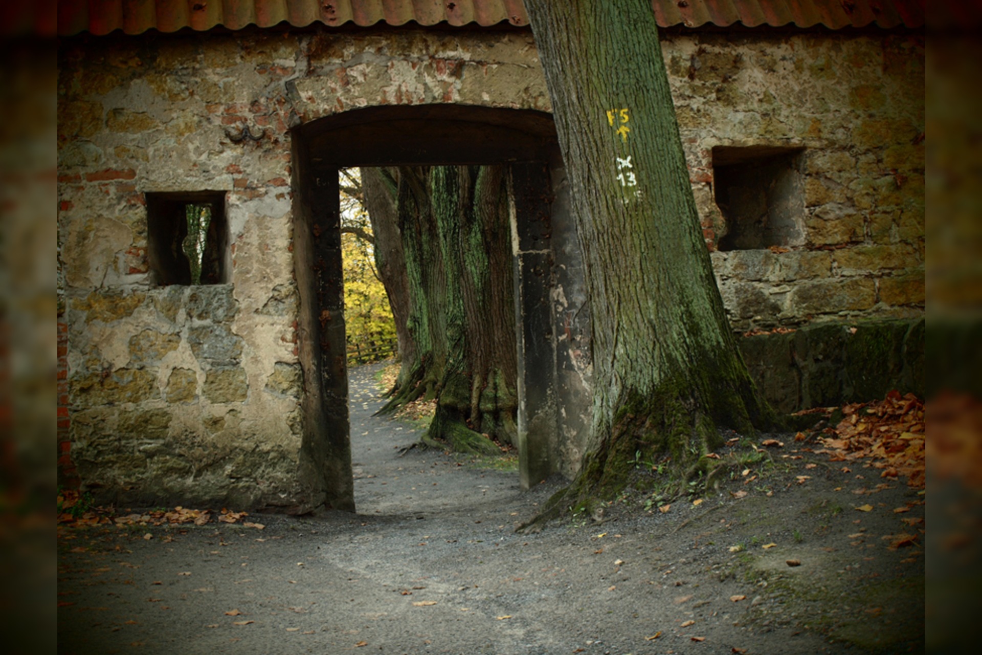Fotokurs mit Fototour: Burg Vischering