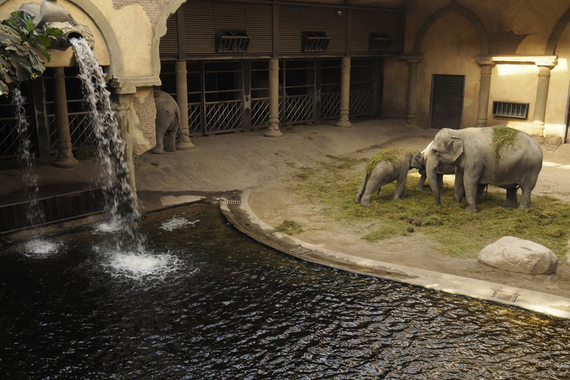 Fotokurs mit Fototour: Tierpark Hagenbeck