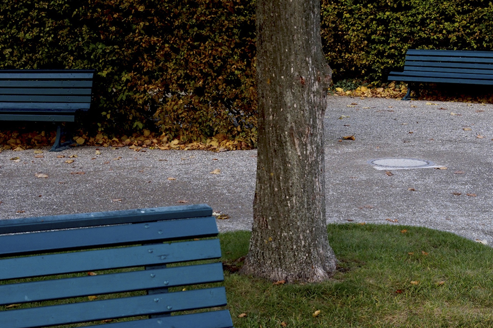 Fotokurs mit Fototour: Herrenhäuser Gärten